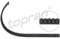 TOPRAN Original Zahnriemen - 722 437 - Citroen Berlingo