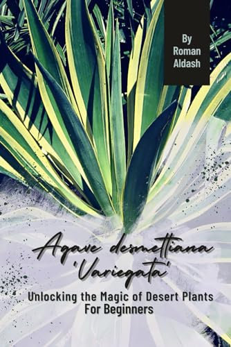 Agave desmettiana 'Variegata': Unlocking the Magic of Desert Plants, For Beginners