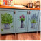 Bongles Accueil Décor DIY Stickers Muraux Pot De Fleurs Cuisine Fenêtre en Verre Salle De Bains Décalcomanies Imperméable (Style Aléatoire)