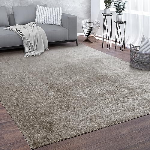 Paco Home Teppich Wohnzimmer Kurzflor Waschbar Weich rutschfest Modern Einfarbiges Muster Grau, Grösse:60x100 cm