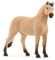 schleich 13979 Fjord Pferd Wallach, ab 5 Jahren, HORSE CLUB - Spielfigur, 4 x 14 x 11 cm