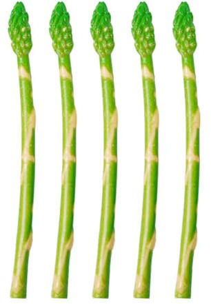SOLUSTRE Künstlicher Spargel 5 Stück Spargelmodell Aus PVC Gemüse Requisite Für Küche Restaurant Display Gemüsegeschäft Heimdekoration Lernspielzeug 7.68 in