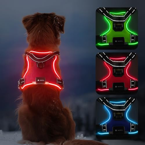 MASBRILL Leuchtgeschirr für Hunde Aufladbar, LED Hundegeschirr Verstellbar für Klein Mittelgroße Grosse Hund, Reflektierende Brustgeschirr Beleuchtet (Rot, L)