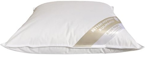 Hofmann Kopfkissen 45x45 Kleinkissen Kissen Federkissen 450 g prall 30% Daunen