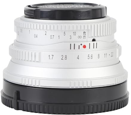 25mm F1.7 APS C Large Aperture NEX Mount E Mount Lens, Manual Focus Lens Compatible with A6400 A6500 A6600 10 1 A7II A73 Camera (Silver)