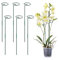 6 Stück 60 cm Pflanzenstütze Garten Pflanzenhalter Metall Rankhilfe Zimmerpflanzen Pflanzen Stütze Orchideenstäbe Blumenhalter Pflanzen Zubehör für Blumen Tomaten Lilien Pfingstrosen Rosen (A)