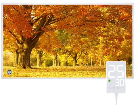 Hocosyme Chauffage Infrarouge 720 Watts Avec Thermostat Tactile, Montage Mural du Radiateur Infrarouge - 1-3 Minutes à une température de fonctionnement Jusqu'à 120 Degrés - PH
