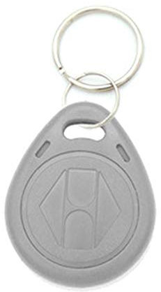 BE-Tool Schlüsselanhänger, 125 khz, RFID-Karten, Schlüsselring (wiederbeschreibbar/statisch) 10 Stück pro Packung, grau