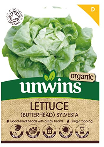 Lettuce (Butterhead) Sylvesta (Organic)