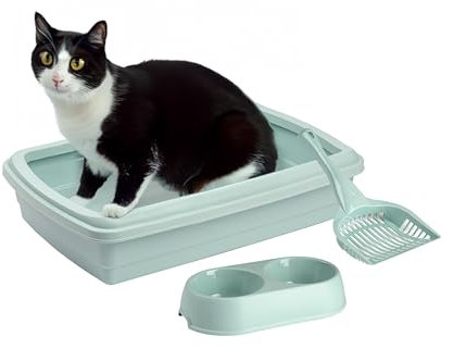 Perfect Cat Starter Set - Comes with Litter Tray & Scoop along with Duo Feeding Bowl Dishes for Food and Milk (Green)
