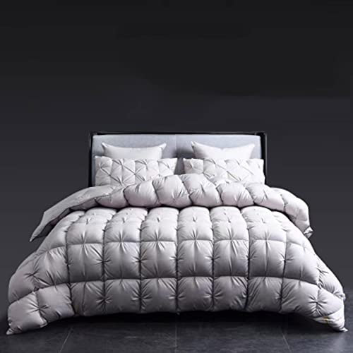 REXOWL Winter Super Weiche Bettdecken, Kuschelige Daunedeck, Home Bettdecke Atmungsaktiv Extra Warm Pflegeleicht Antiallergisch für Allergiker (A 200x230cm)