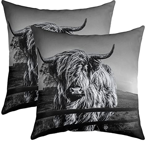 Highland Cow Kissenbezüge Grauer Stier Rinder Kissenbezüge 50x50 Satz von 2 Lustige Bauernhof Wildtier Kissenbezüge für Kinder Teens Erwachsene Western Cowboy Weiche Dekor Quadratische Kissenbezüge