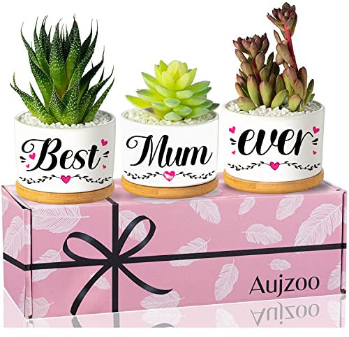 Aujzoo Mutter-Geschenke zum Geburtstag, Mutter-Geschenke von Töchtern und Söhnen zum Muttertag, beste Mutter aller Zeiten, Sukkulententententöpfe, kreatives Geschenk für Mutter, Gartendekoration,