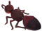 LABRIMP Ant Plüschpuppe Realistisches Ameisen Kissen für Dekoratives Plüschtier für Spiel und Wohnkultur zum Geburtstag