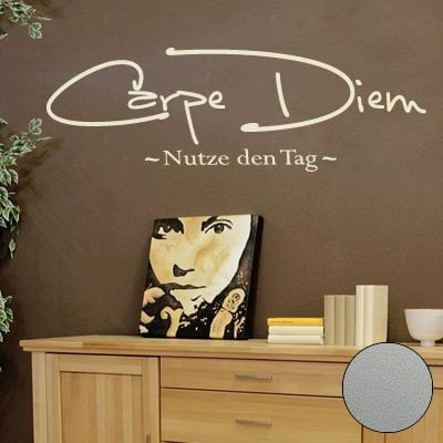 A536 Wandtattoo Carpe Diem 90cm x 28cm silber (erhältlich in 40 Farben und 4 Größen)