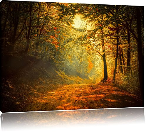 Pixxprint Wald, Größe: 100x70cm, Leinwandbild, fertig gespannt, Wandbild, Dekoration, Kunstdruck, kein Poster