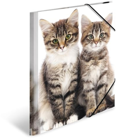 HERMA Sammelmappen A4 Katzen Set, 3 Stück, Kinder Eckspanner-Mappen aus Kunststoff mit Tier Motiv, Gummizug, Innenklappen und Innendruck für Jungen und Mädchen