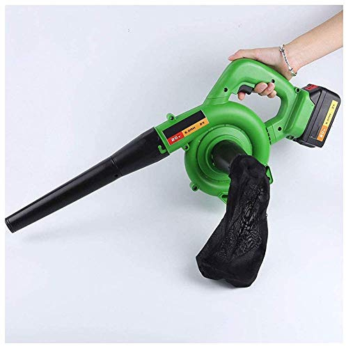 LVSEWOA Soplador de Hojas eléctrico, práctico, inalámbrico, Ligero, de Alta Potencia, Apto para Interiores y Exteriores, Coche, Ordenador, Mascotas, Color Verde.