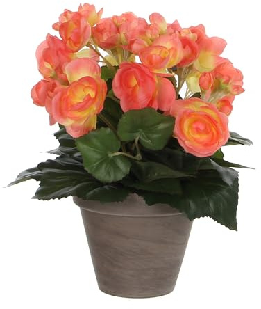 Mica decorations 977509 Begonie in Stan Topf, Polyester, lachs, 25 x 25 x 30 cm