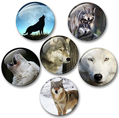 Wolf Wölfe Grauwolf europäischer Wolf - 6 große Kühlschrankmagnete [ 01 ]