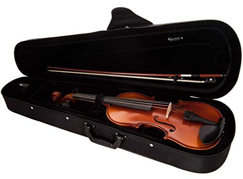 GEWApure Violingarnitur EW Ebenholz 3/4 spielfertig mit Kinnhalter, Feinstimmsaitenhalter, Bogen, Kolophonium, Etui mit Tragegurt