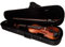 GEWApure PS401622 Violino Set EW in Ebano, Pronto per Suonare con Mentoniera, Cordiera con Tiracantini, Archetto, Colofonia, Astuccio con Tracolla, Rosso Scuro, 3/4