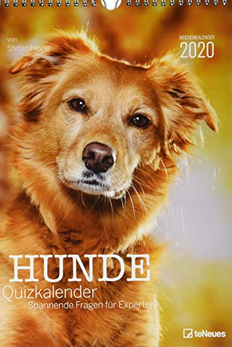 Stefan Heine Hunde-Quiz 2020 - Wochenkalender - Stefan Heine - 23,7x34cm - Quizkalender - Hundekalender: Spannende Fragen für Experten. Wochenkalender