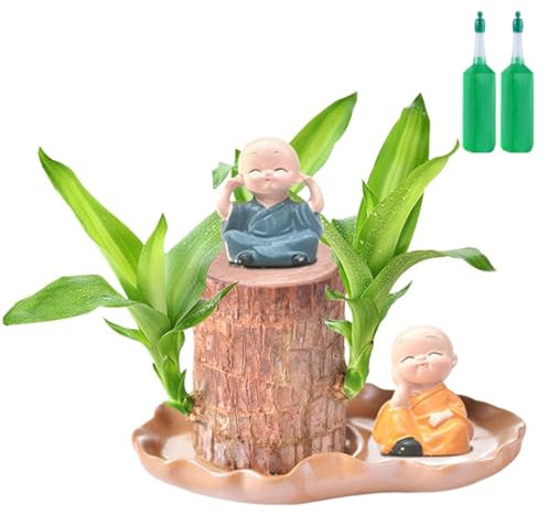 Brazilian Lucky Wood, Brazil Lucky Wood, Hydroponic Potted Plant Stump Plant, Air Purifying Plants Tree Stump Indoor Desktop Decor (Brazilian Wood+Statue+Nutrient Solution)