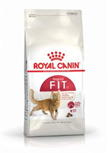 Royal Canin Regular Fit 32 Trockenfutter | 2 kg | Alleinfutter für ausgewachsene aktive Katzen bis zum 7. Lebensjahr | Zur Unterstützung von Gewicht und Haarballenbildung