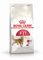 Royal Canin Regular Fit 32 Trockenfutter | 2 kg | Alleinfutter für ausgewachsene aktive Katzen bis zum 7. Lebensjahr | Zur Unterstützung von Gewicht und Haarballenbildung