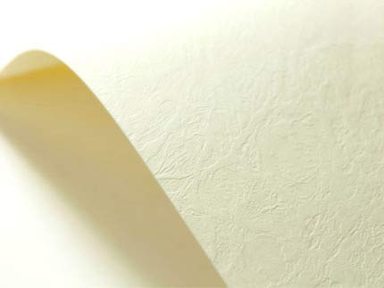 Netuno 100x Strukturkarton Creme ledergenarbt DIN A4 21 x 29,7 cm 246g Elfenbeinkarton Chamois Leder-Struktur-Prägung strukturiert Prägekarton für Visitenkarten Einladungen Zertifikate