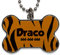 LolaPix Chapa Perros Personalizadas con foto, texto o imagen. Placas para Perros. Chapa metálica con forma de hueso. Regalo personalizado. TIGRE