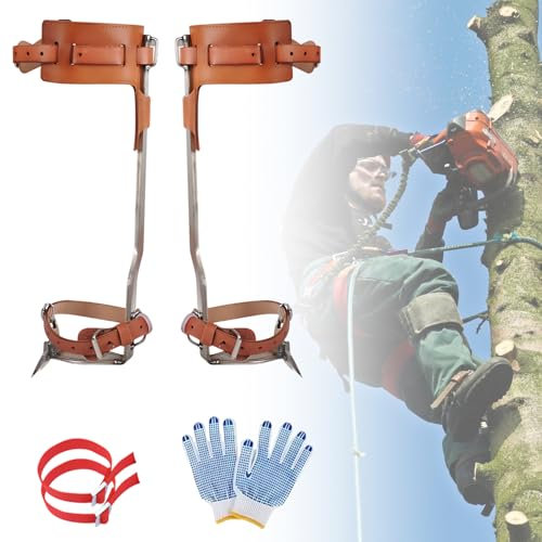 TAZZOR Steigeisen Baumklettern aus Rindsleder - Baumkletter-Steigeisen mit Handschuhe und Riemen, Baumklettern Ausrüstung, Baumsteigeisen für sicheres Klettern (Stainless Steel - Double Claw)