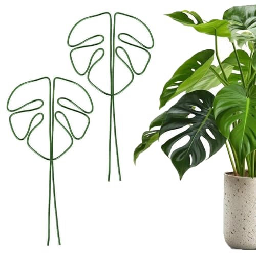 Monstera - Supporto per piante da appartamento, 2 pezzi, in alluminio, con design unico a foglia per piante d'appartamento, supporto per gambi multiuso, per Alocasia e Monstera, colore: verde