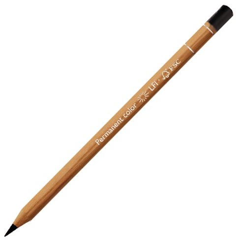 CARAN DACHE LUMINANCE 6901 COLOUR PENCIL Black