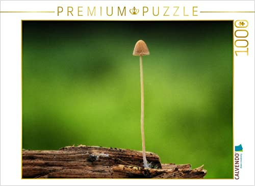 CALVENDO Puzzle EIN Motiv aus dem Kalender Pilze, die stillen Waldbewohner 2019 | 1000 Teile Lege-Größe 64 x 48 cm Foto-Puzzle für glückliche Stunden