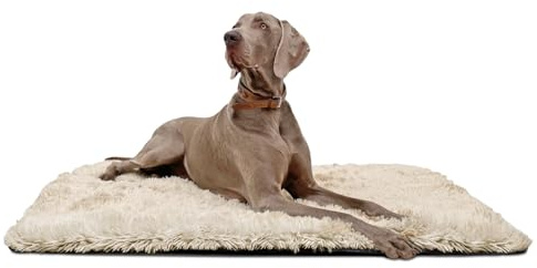 tierlando® Hundeliegedecke Shary kuschelige Zottelplüsch Hundematte aus flauschigem Hochfloor/Langfloor Hundedecke Größe: 60x45cm | Farbe: 14 Beige