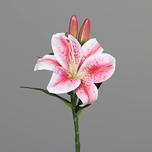 Seidenblumen Roß Lilie/Tigerlilie Real Touch 36cm rosa-pink DP Kunstblumen künstliche Blume künstlicher Lilienzweig