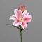 Seidenblumen Roß Lilie/Tigerlilie Real Touch 36cm rosa-pink DP Kunstblumen künstliche Blume künstlicher Lilienzweig