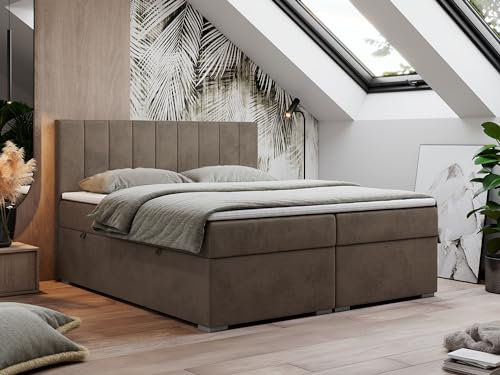 MKS MEBLE Boxspringbett 120x200 cm, Bett mit Multipocket Matratze H4 und Topper T25, Boxspringbett mit Bettkästen, Polsterbett mit Kopfteil - Lope - Braun Velvet