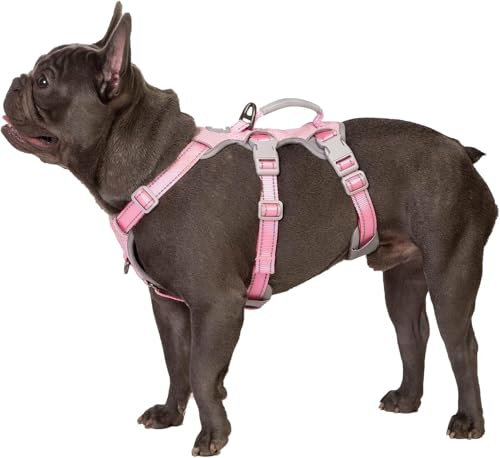 Huntboo Sicherheitsgeschirr Hund Ausbruchsicher, Panikgeschirr für Hunde, Reflektierendes Geschirr mit Gepolstertem Griff, Verstellbare Weste für Kleine Hunde, die Spazieren Gehen (Rosa,XS)