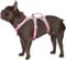 Huntboo Sicherheitsgeschirr Hund Ausbruchsicher, Panikgeschirr für Hunde, Reflektierendes Geschirr mit Gepolstertem Griff, Verstellbare Weste für Kleine Hunde, die Spazieren Gehen (Rosa,XS)