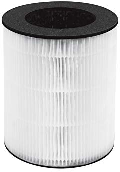 House of Marley HoMedics AP-T20 HEPA-Filter, Ersatzfilter für HoMedics TotalClean Luftreiniger AP-T20, weiß/grau