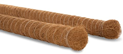 Novatool 2X Pflanzstäbe Kokos 80+110 cm I Ø 45mm I verlängerbar I natürlicher Kokosfaser I Rankhilfe Monstera deliciosa Moosstab Kokosstäbe