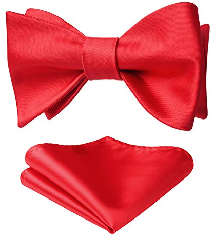 HISDERN Fliege und Einstecktuch Set Herren Rot Fliegen für Männer Selbstgebundene Elegante Geschenke Hochzeit Party,Rot,Einheitsgröße