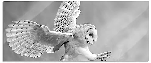 Pixxprint Glasbild Panorama, Wandbild aus Echtglas, Fliegende Eule bei der Jagd, 120x50 cm, inkl. Aufhängung und Abstandshalter