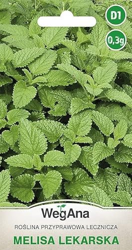 WegAna Semi di melissa 0,3g Melissa Officinalis Melissa Piante medicinali Semi di ortaggi robusti Semi di ortaggi Semi di coltivazione Erbe da cucina Erbe da balcone e da giardino