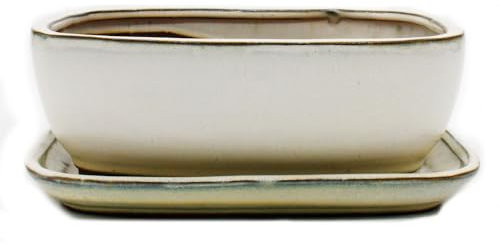 Bonsai-Schale mit Unterteller Gr. 4 - Hellbeige - rechteckig - Modell GB5 - L 26cm - B 20cm - H 9cm