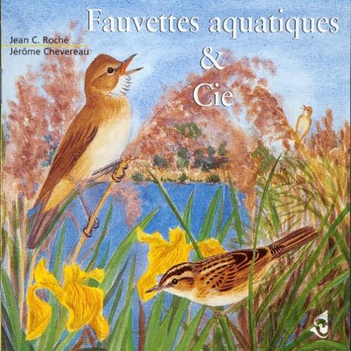 Wetland Warblers & Company
