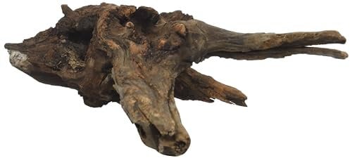 AMTRA Mystic Wood - Décoration Aquarium - Bois en Forme de Racine pour Aquascaping et Aquariophilie - Accessoire Naturel pour Deco Aquarium, 40 cm
